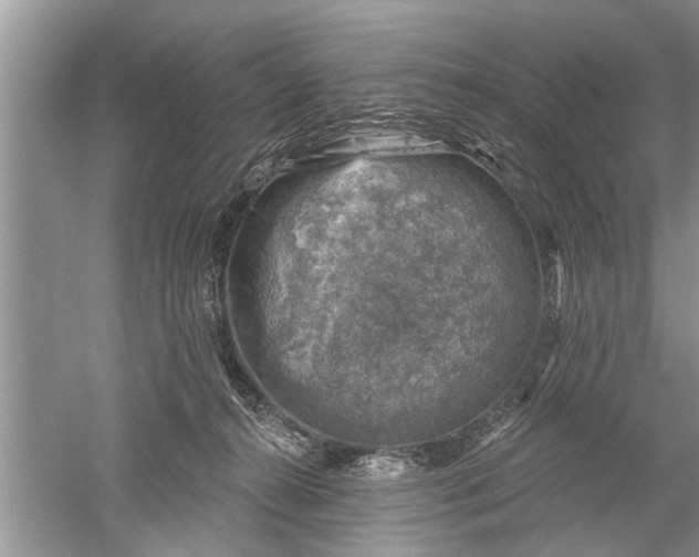 X0000052570272200507152300