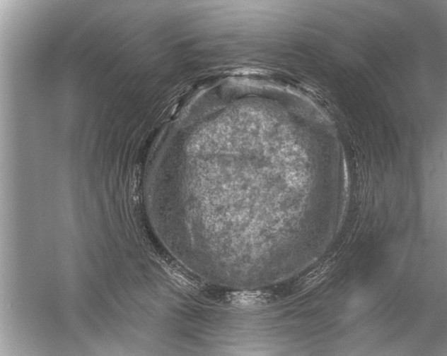 X0000052570273200507152300