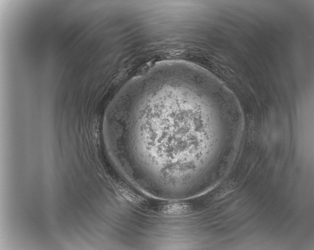 X0000052570274200507152300