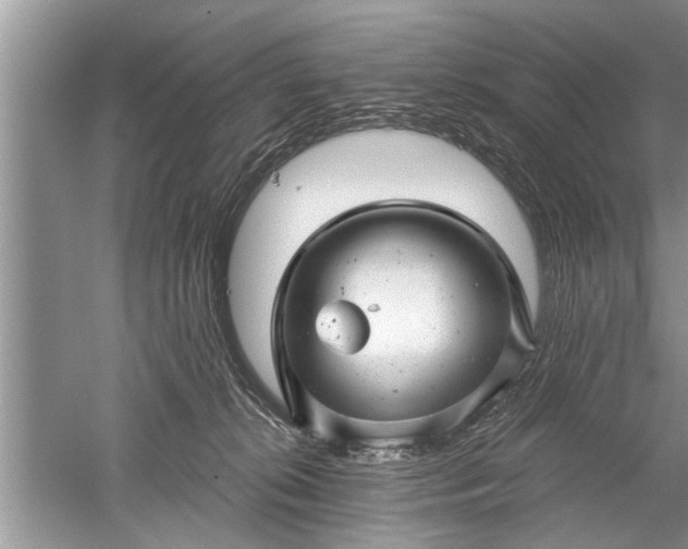 X0000052570276200507152300