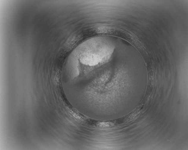 X0000052570277200507152300