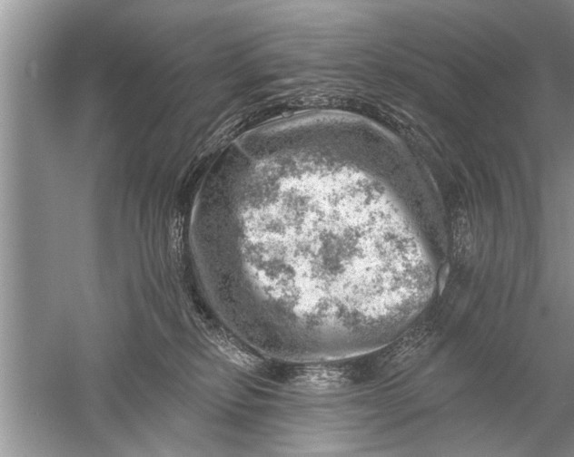 X0000052570278200507152300