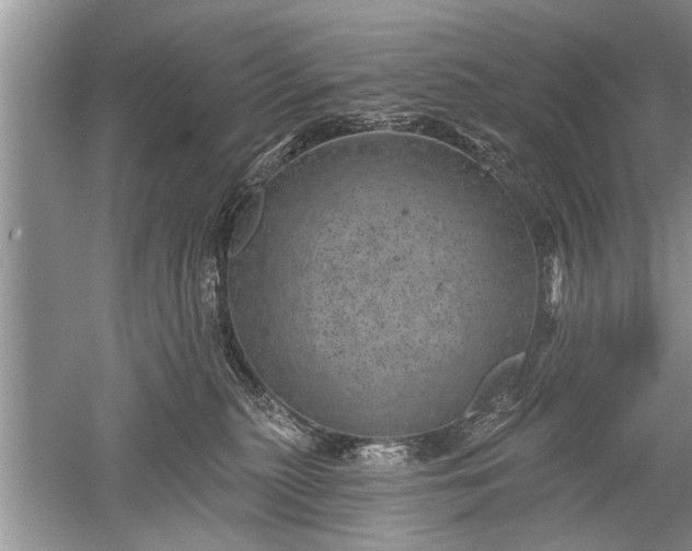 X0000052570279200507152300