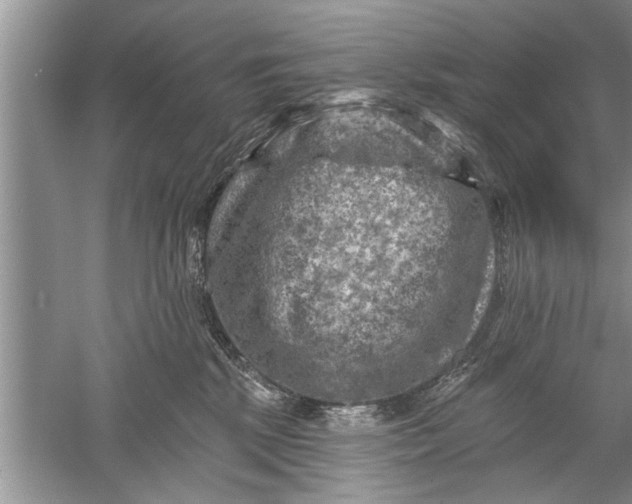 X0000052570281200507152300