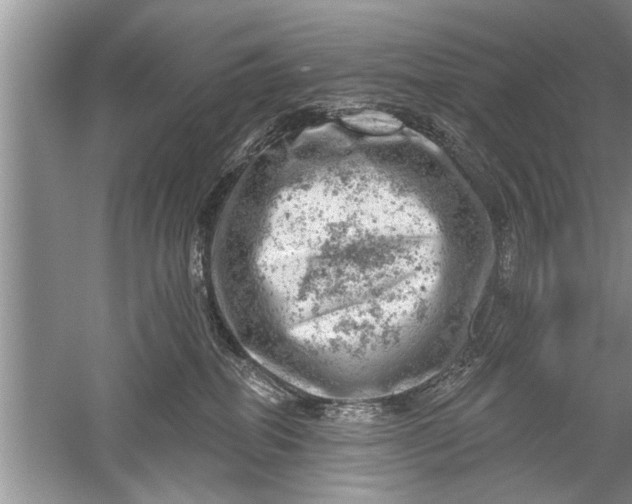 X0000052570282200507152300