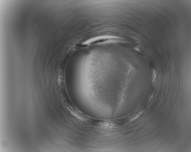 X0000052570284200507152300