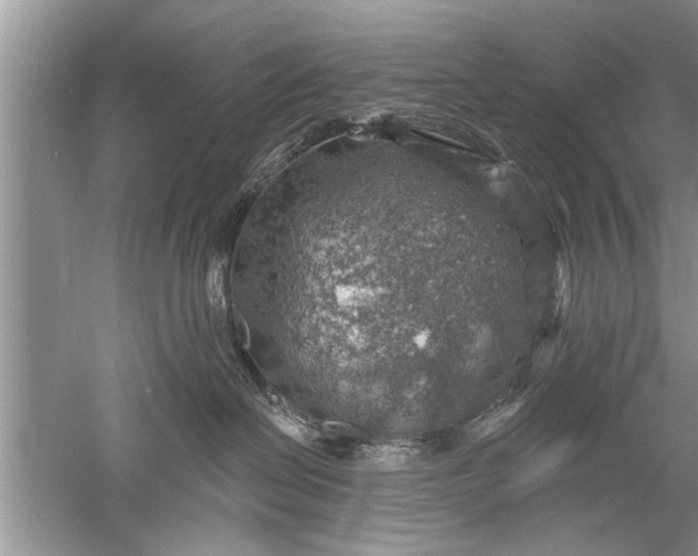 X0000052570286200507152300