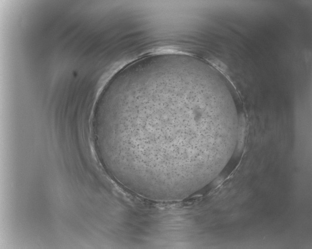 X0000052570289200507152259