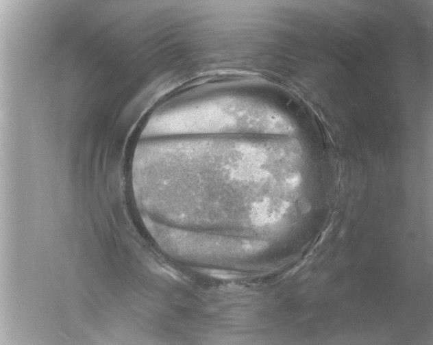 X0000052570290200507152259