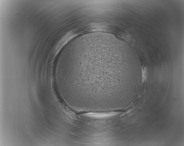 X0000052570291200507152259