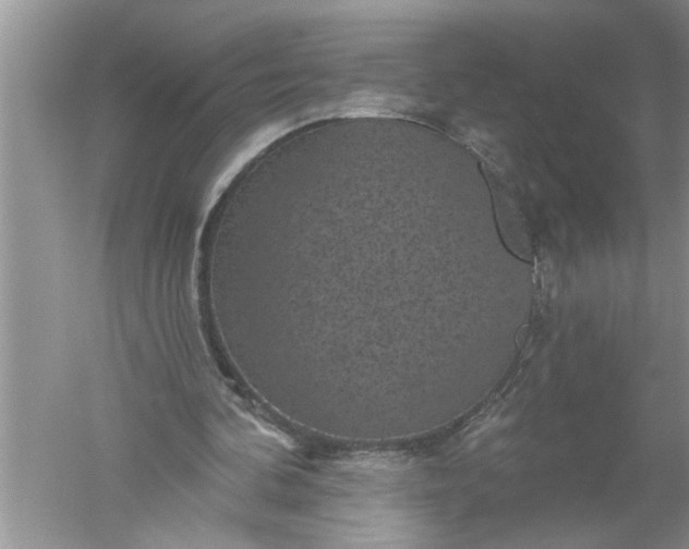 X0000052570292200507152259