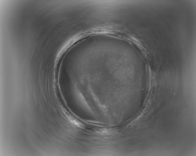 X0000052570293200507152259