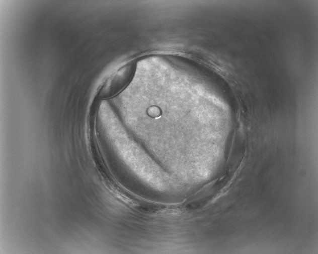 X0000052570294200507152259