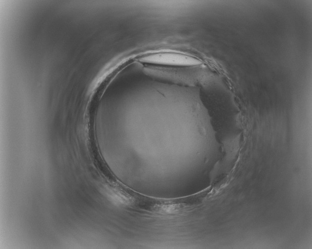 X0000052570295200507152259