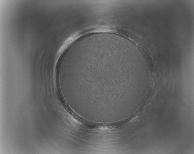 X0000052570296200507152259