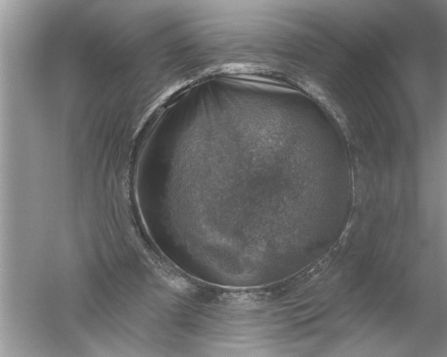 X0000052570297200507152259