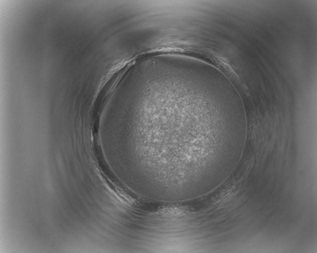 X0000052570299200507152259