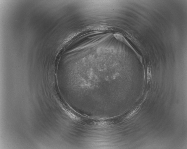 X0000052570301200507152259