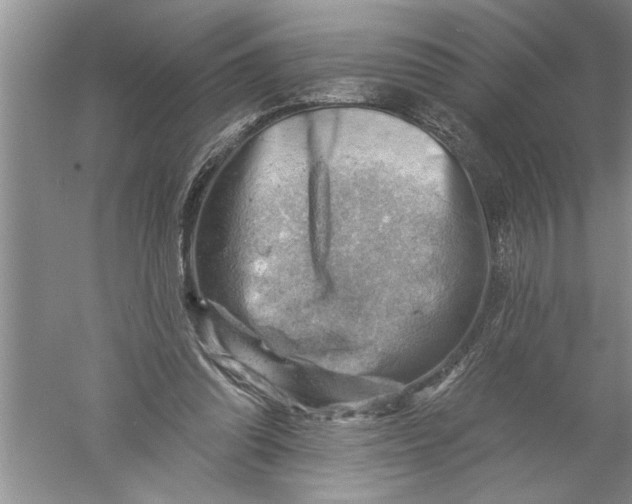 X0000052570302200507152259