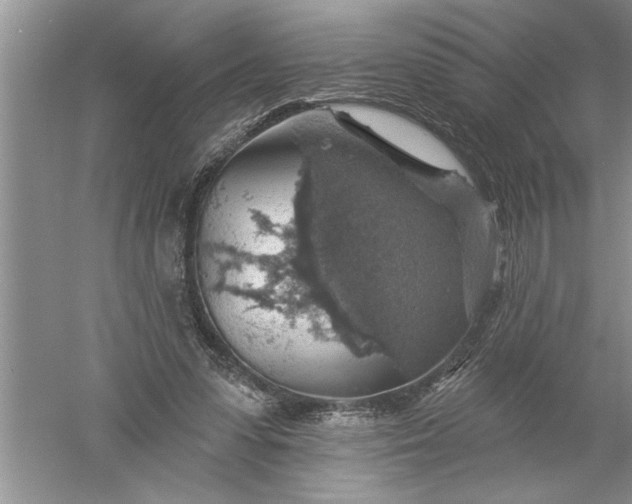 X0000052570303200507152259