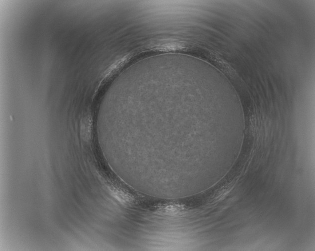 X0000052570304200507152259