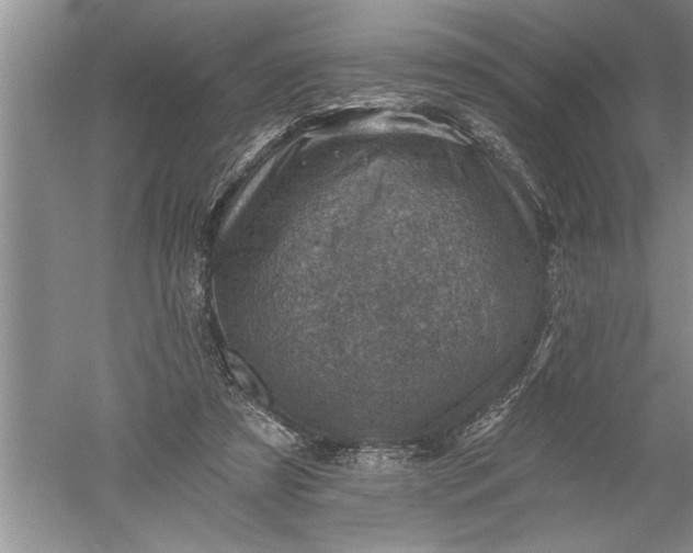 X0000052570305200507152259