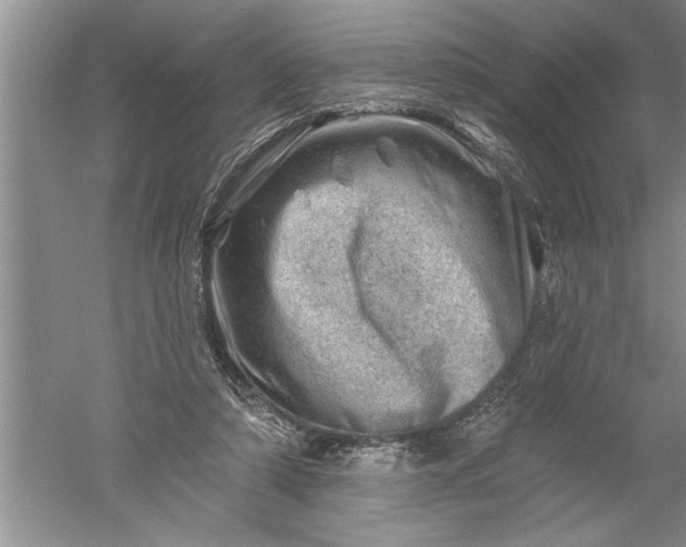 X0000052570306200507152259