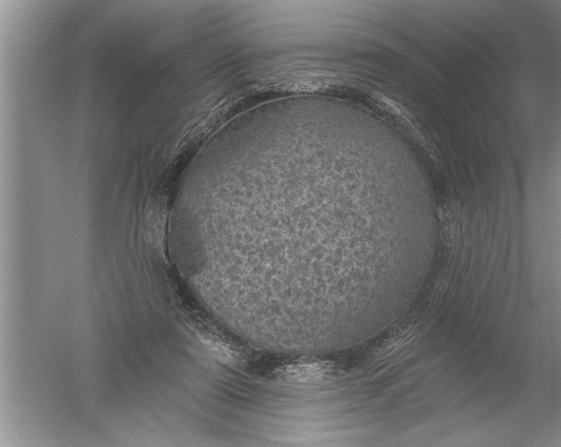 X0000052570307200507152259