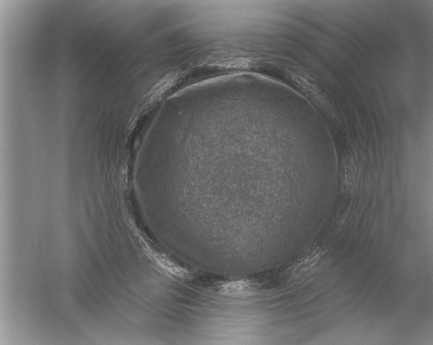 X0000052570309200507152259