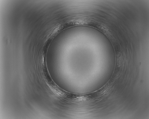 X0000052570310200507152259