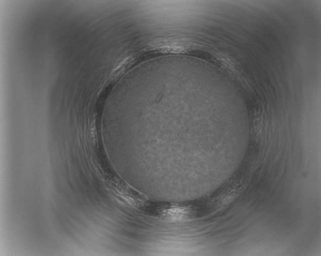 X0000052570312200507152259