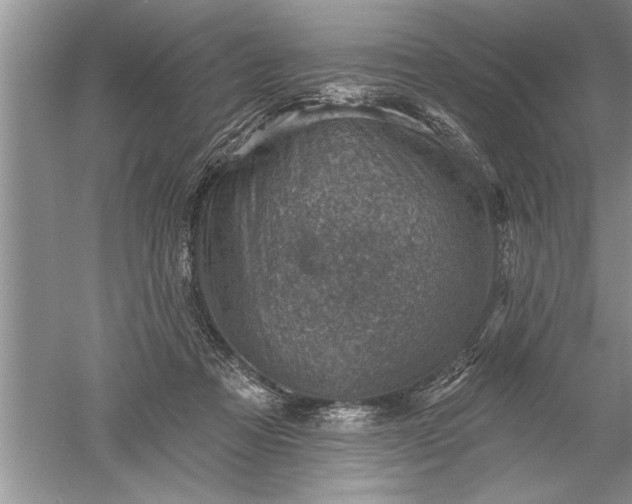 X0000052570313200507152259