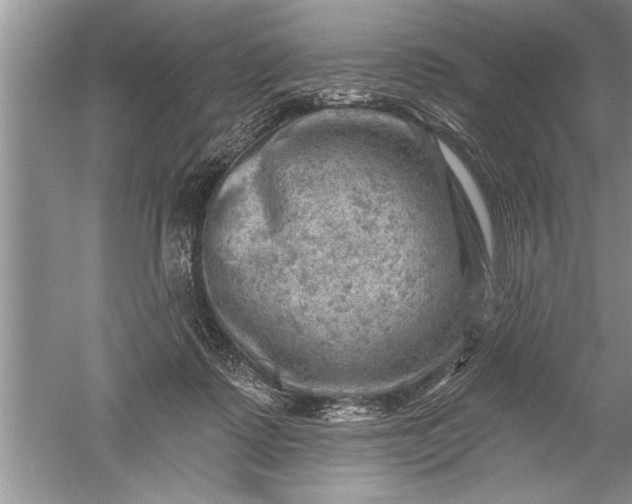 X0000052570315200507152259