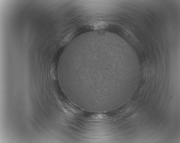 X0000052570316200507152259