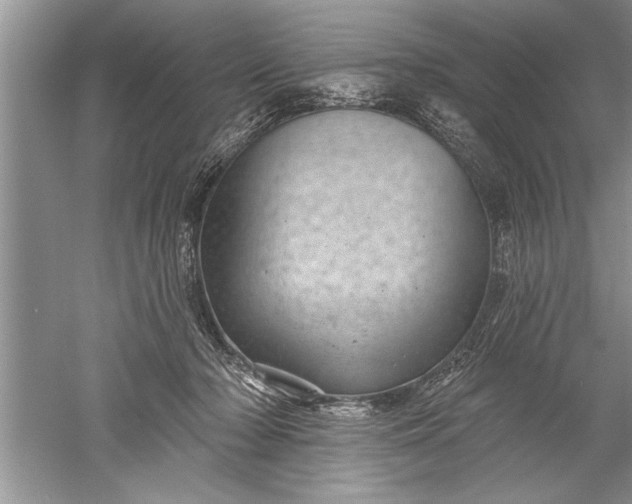 X0000052570318200507152259