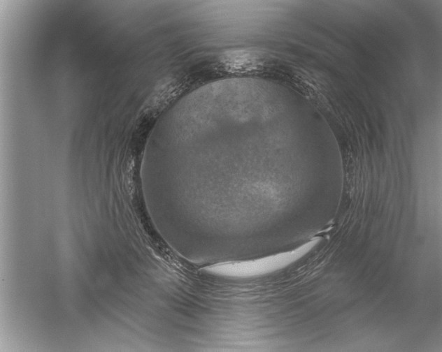 X0000052570319200507152259