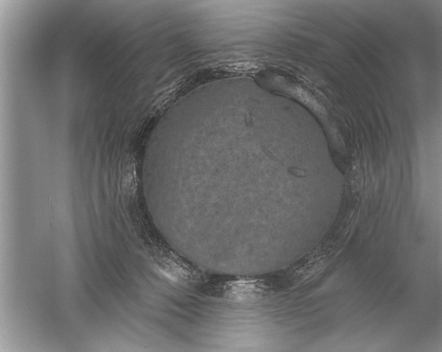 X0000052570320200507152259