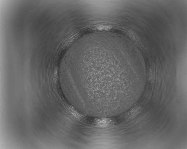 X0000052570321200507152259