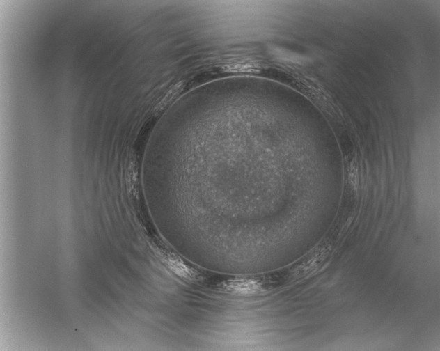 X0000052570322200507152259