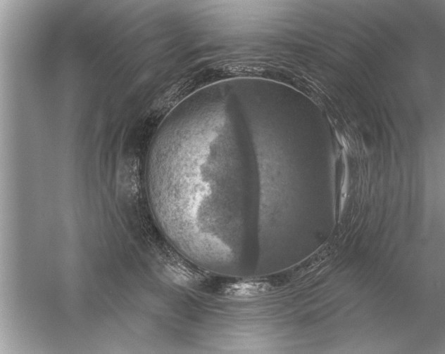 X0000052570323200507152259