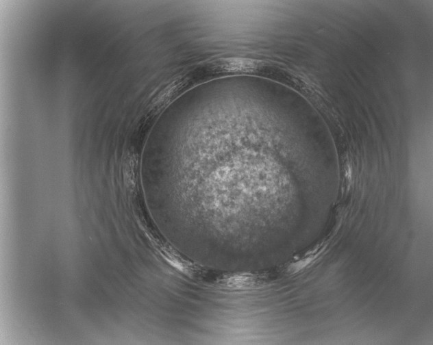 X0000052570325200507152259