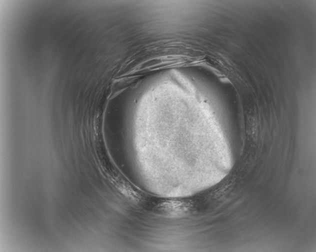 X0000052570326200507152259