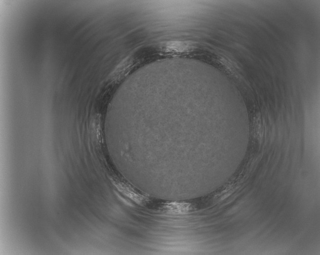 X0000052570328200507152259