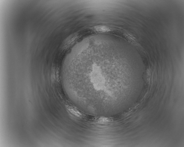 X0000052570330200507152259