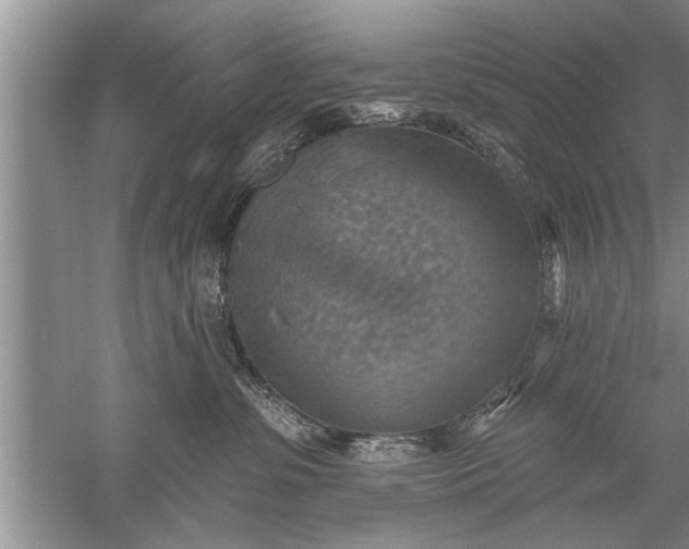 X0000052570331200507152259