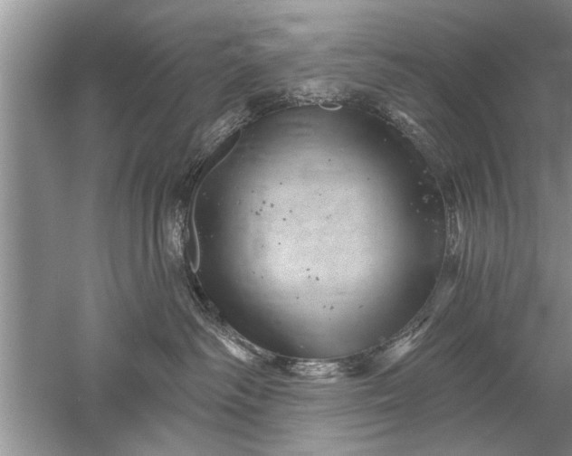 X0000052570334200507152259