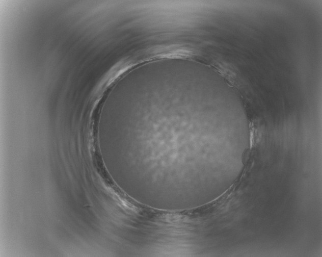 X0000052570339200507152258