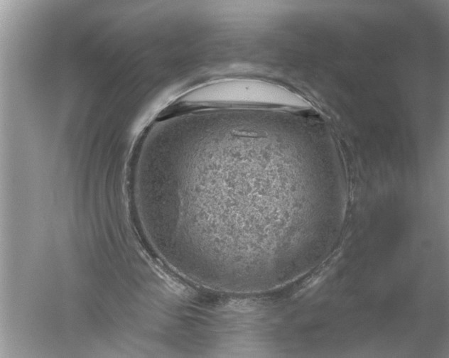 X0000052570341200507152258