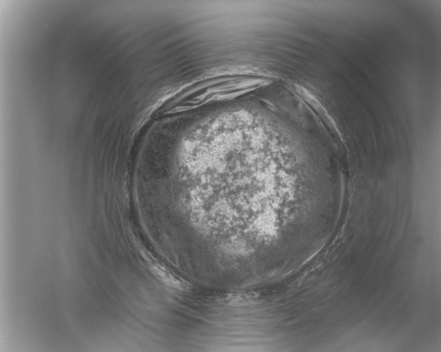 X0000052570345200507152258