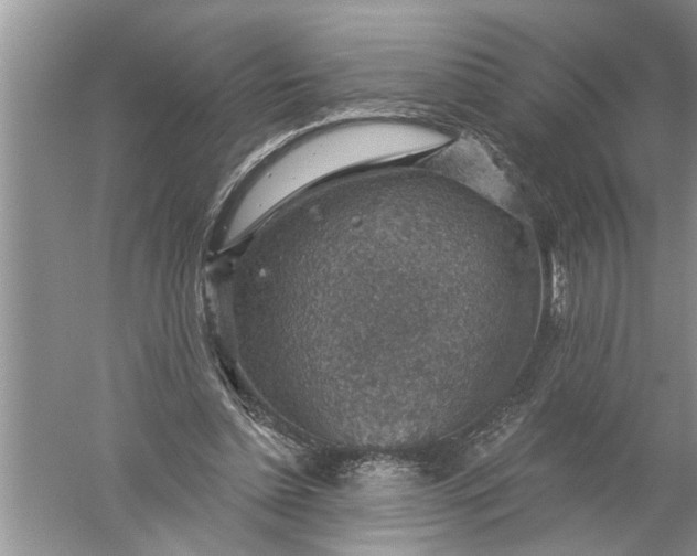 X0000052570348200507152258